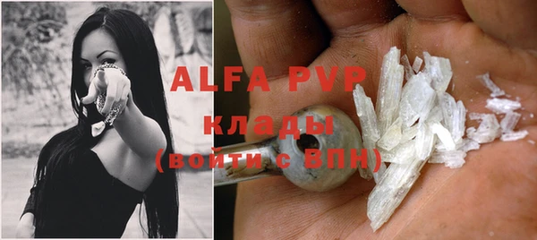 кокс Бородино