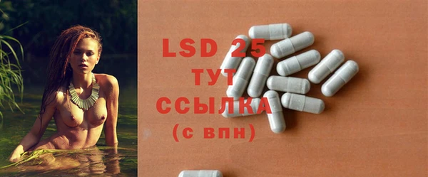 винт Богданович