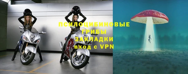 ГАЛЛЮЦИНОГЕННЫЕ ГРИБЫ Богородск