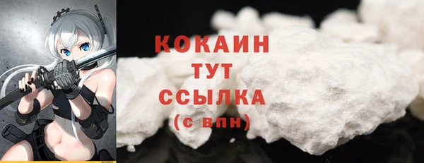 кокс Бородино