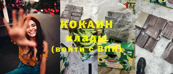 винт Богданович