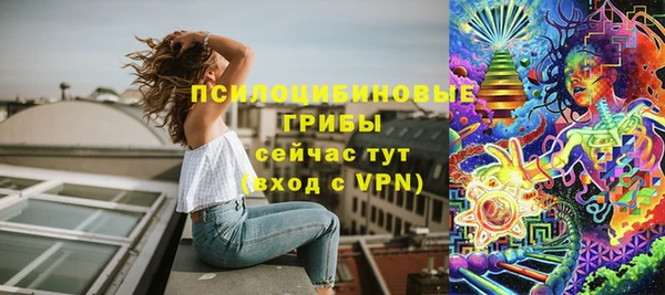 ГАЛЛЮЦИНОГЕННЫЕ ГРИБЫ Богородск