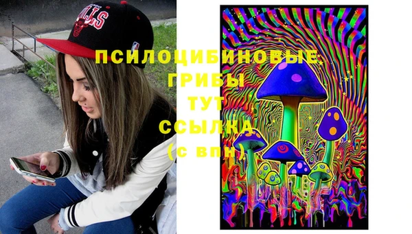 ГАЛЛЮЦИНОГЕННЫЕ ГРИБЫ Богородск